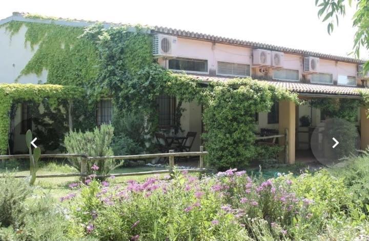 Il Piccolo Borgo Montalto di Castro Exterior foto